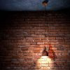 luster-priddy-1-49492 2